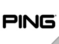 brand_link_ping