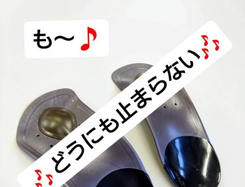 LOFE アーチサポート
